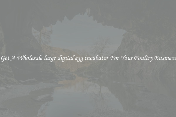 Get A Wholesale large digital egg incubator For Your Poultry Business