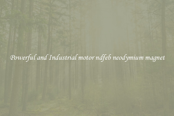 Powerful and Industrial motor ndfeb neodymium magnet