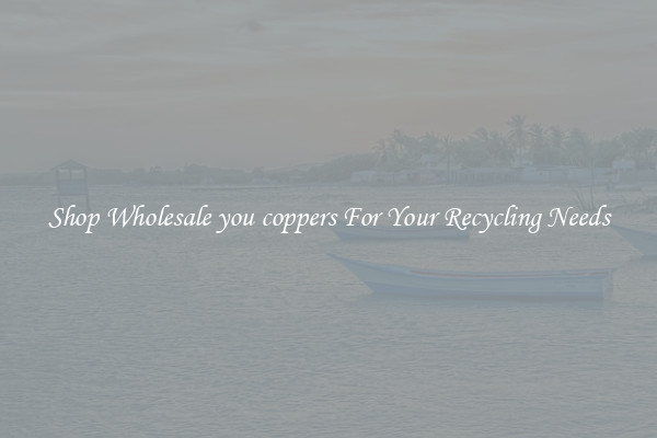 Shop Wholesale you coppers For Your Recycling Needs