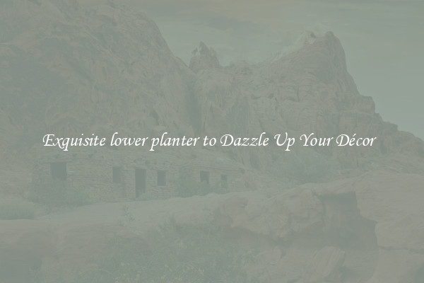 Exquisite lower planter to Dazzle Up Your Décor  
