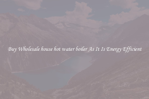 Buy Wholesale house hot water boiler As It Is Energy Efficient