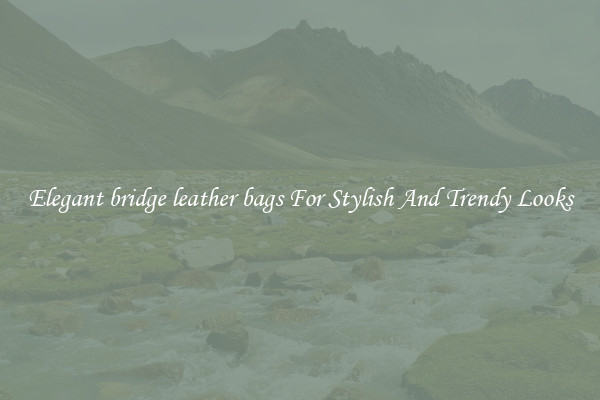 Elegant bridge leather bags For Stylish And Trendy Looks