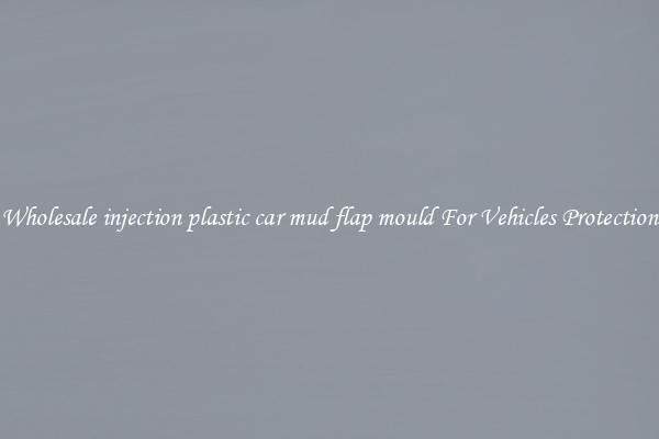 Wholesale injection plastic car mud flap mould For Vehicles Protection