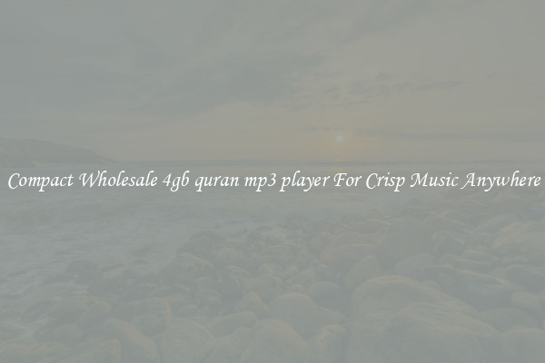 Compact Wholesale 4gb quran mp3 player For Crisp Music Anywhere