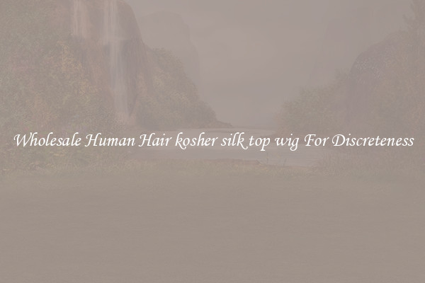 Wholesale Human Hair kosher silk top wig For Discreteness