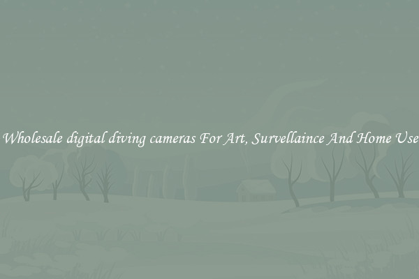 Wholesale digital diving cameras For Art, Survellaince And Home Use