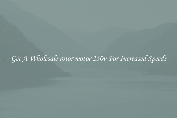 Get A Wholesale rotor motor 230v For Increased Speeds