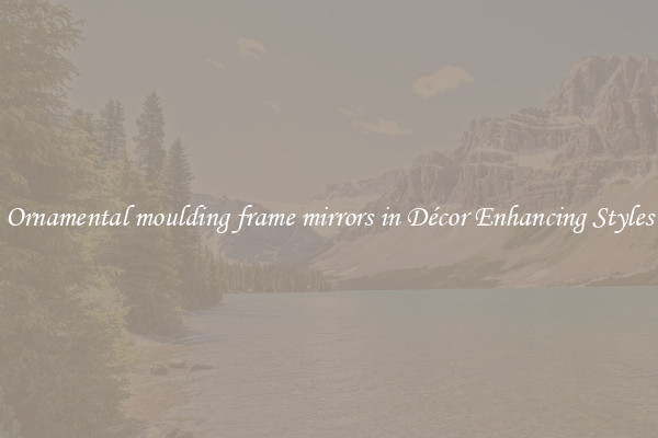 Ornamental moulding frame mirrors in Décor Enhancing Styles
