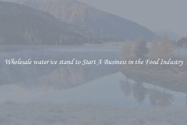 Wholesale water ice stand to Start A Business in the Food Industry