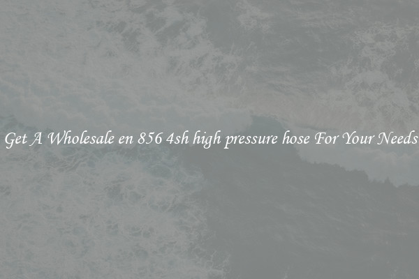 Get A Wholesale en 856 4sh high pressure hose For Your Needs