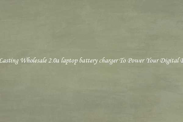 Long Lasting Wholesale 2.0a laptop battery charger To Power Your Digital Devices