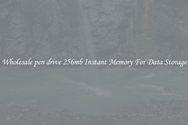 Wholesale pen drive 256mb Instant Memory For Data Storage