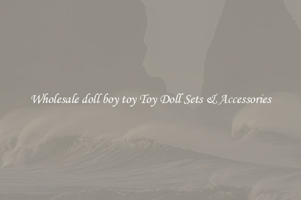 Wholesale doll boy toy Toy Doll Sets & Accessories