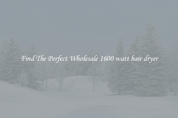 Find The Perfect Wholesale 1600 watt hair dryer