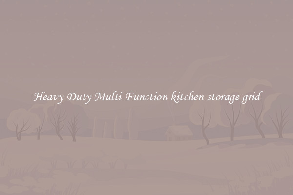 Heavy-Duty Multi-Function kitchen storage grid