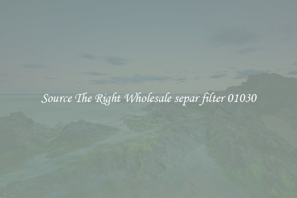 Source The Right Wholesale separ filter 01030
