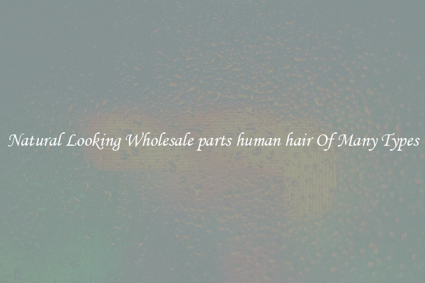 Natural Looking Wholesale parts human hair Of Many Types