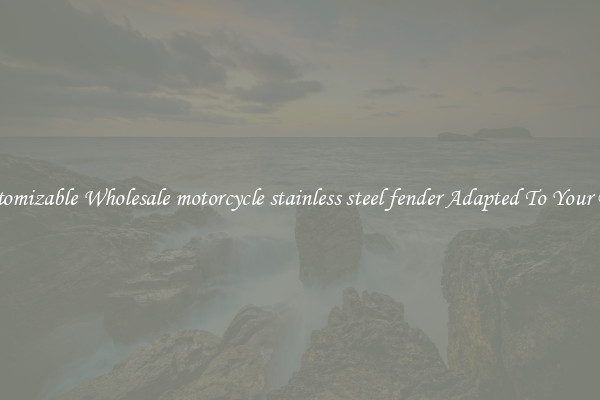 Customizable Wholesale motorcycle stainless steel fender Adapted To Your Bike