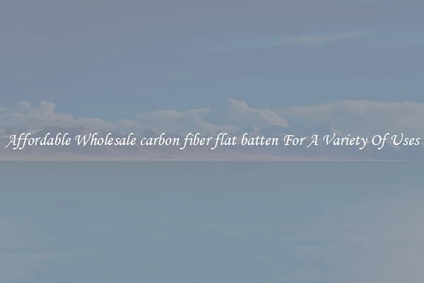 Affordable Wholesale carbon fiber flat batten For A Variety Of Uses