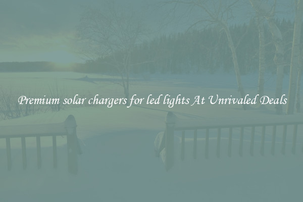 Premium solar chargers for led lights At Unrivaled Deals