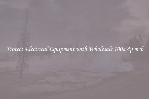 Protect Electrical Equipment with Wholesale 100a 4p mcb