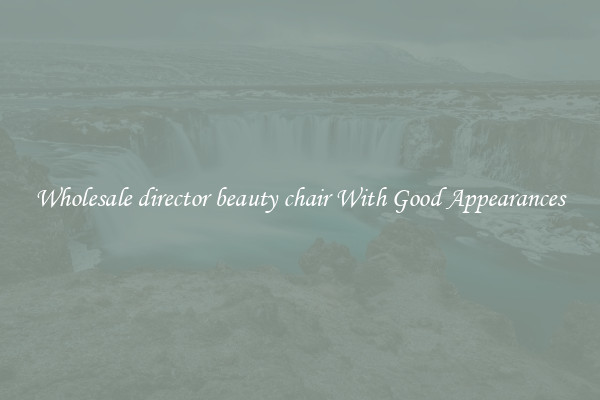 Wholesale director beauty chair With Good Appearances
